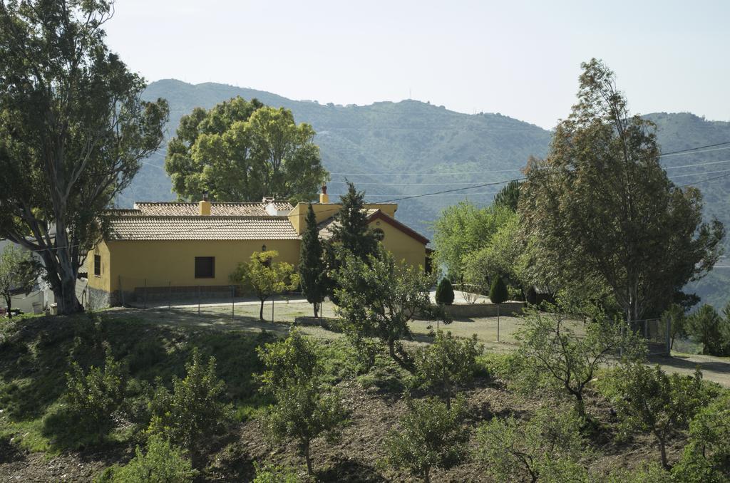 Vila Rural Montes Malaga: Lagar Don Sancho Pokoj fotografie